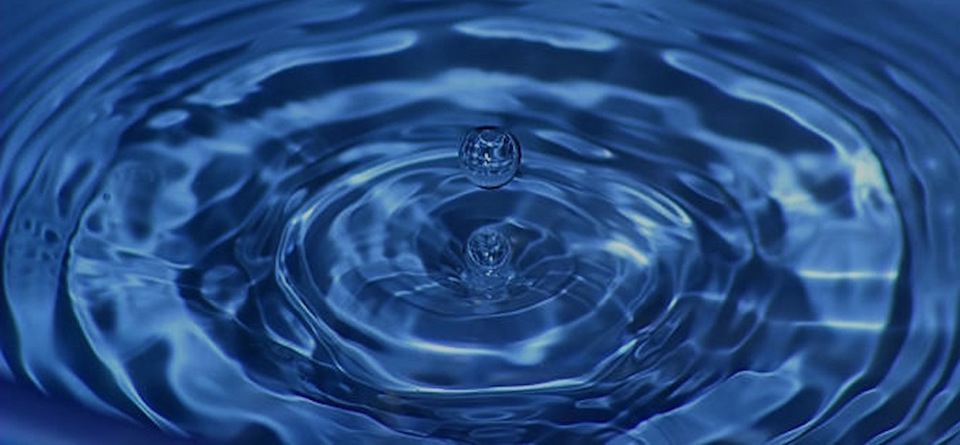 earthgroove partners